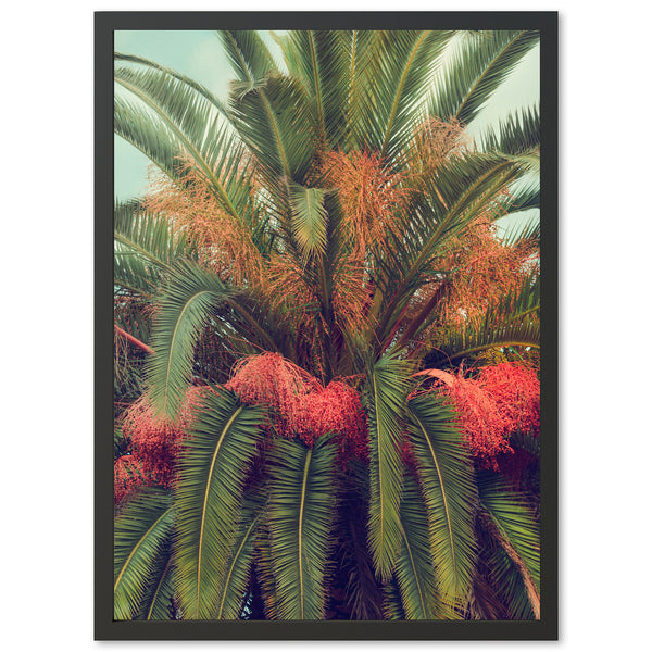 a picture of a palm tree with red flowers