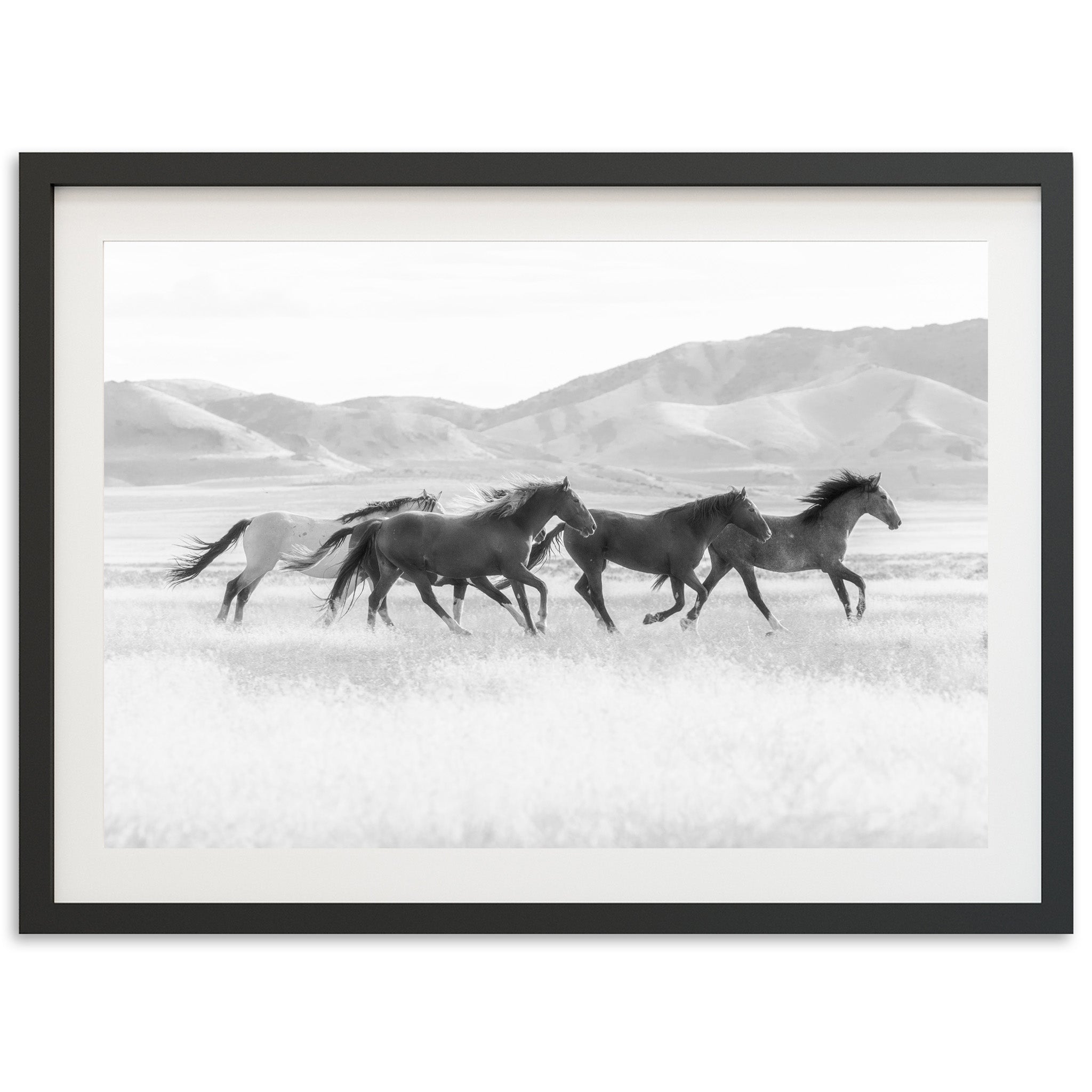 a black and white photo of horses running in a field