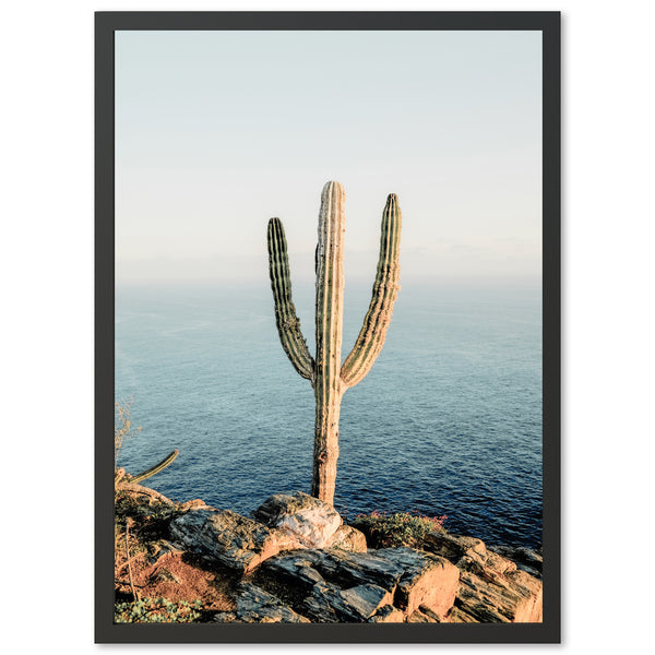 a picture of a cactus on a rocky cliff by the ocean