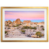 a picture of a desert with rocks and plants