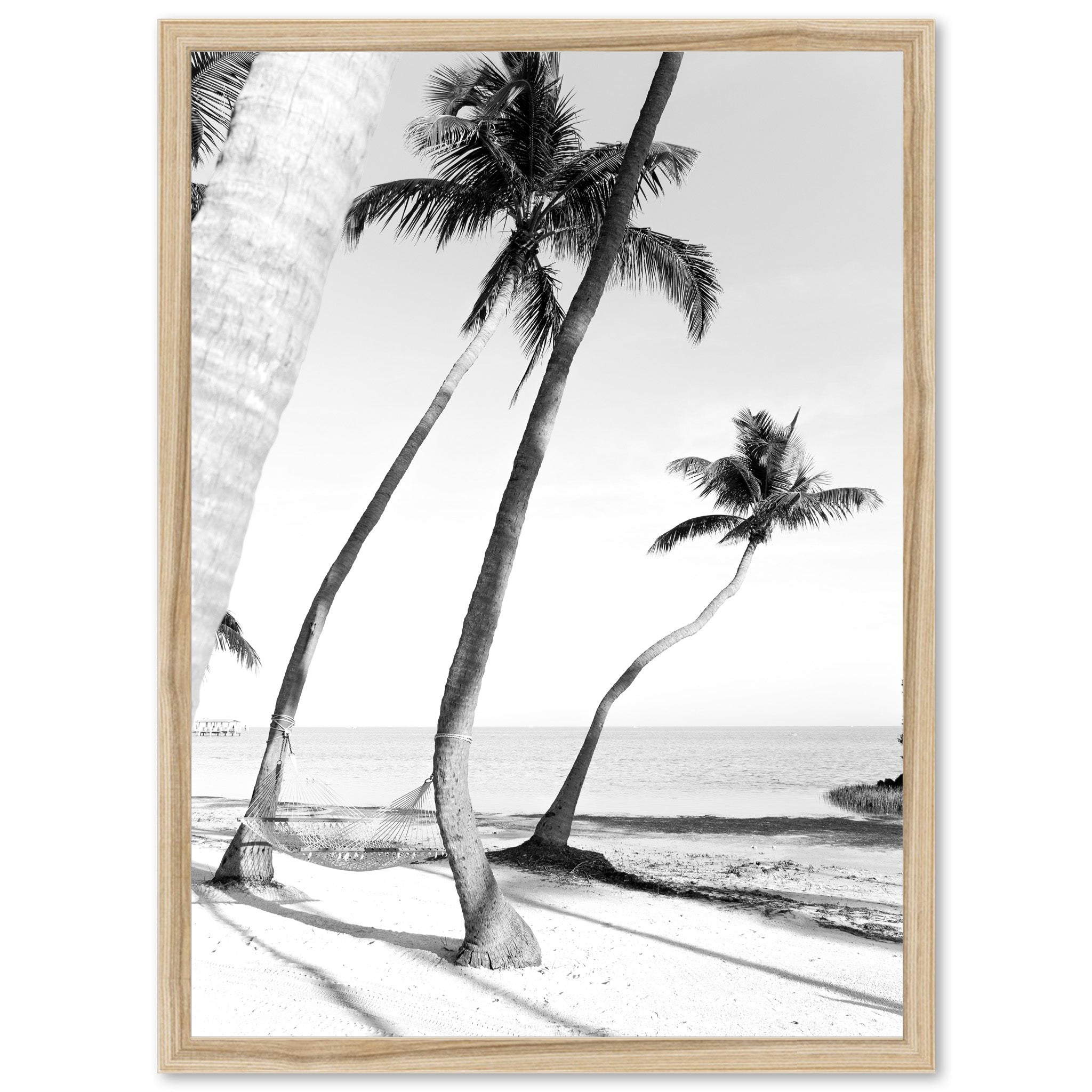 a black and white photo of palm trees on a beach