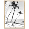 a black and white photo of palm trees on a beach