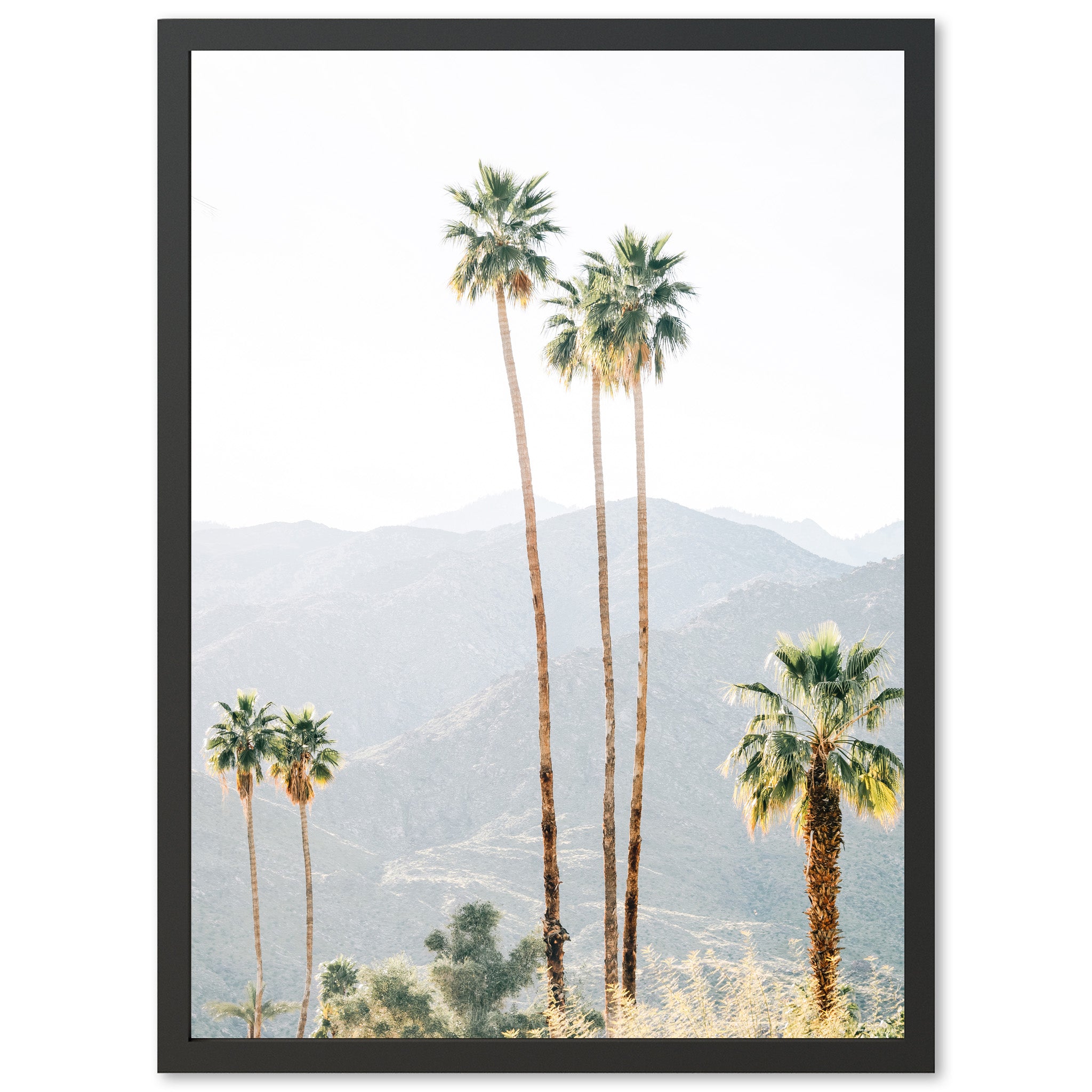 three palm trees with mountains in the background