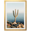 a framed photograph of a cactus on a rocky cliff