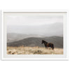 a horse standing in a field with mountains in the background