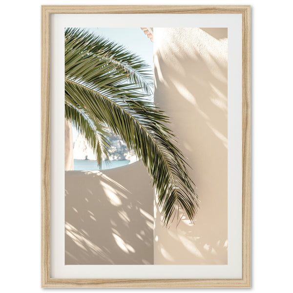 a palm tree casts a shadow on a wall