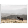 a horse standing in a field with mountains in the background