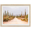 a dirt road surrounded by tall cactus trees