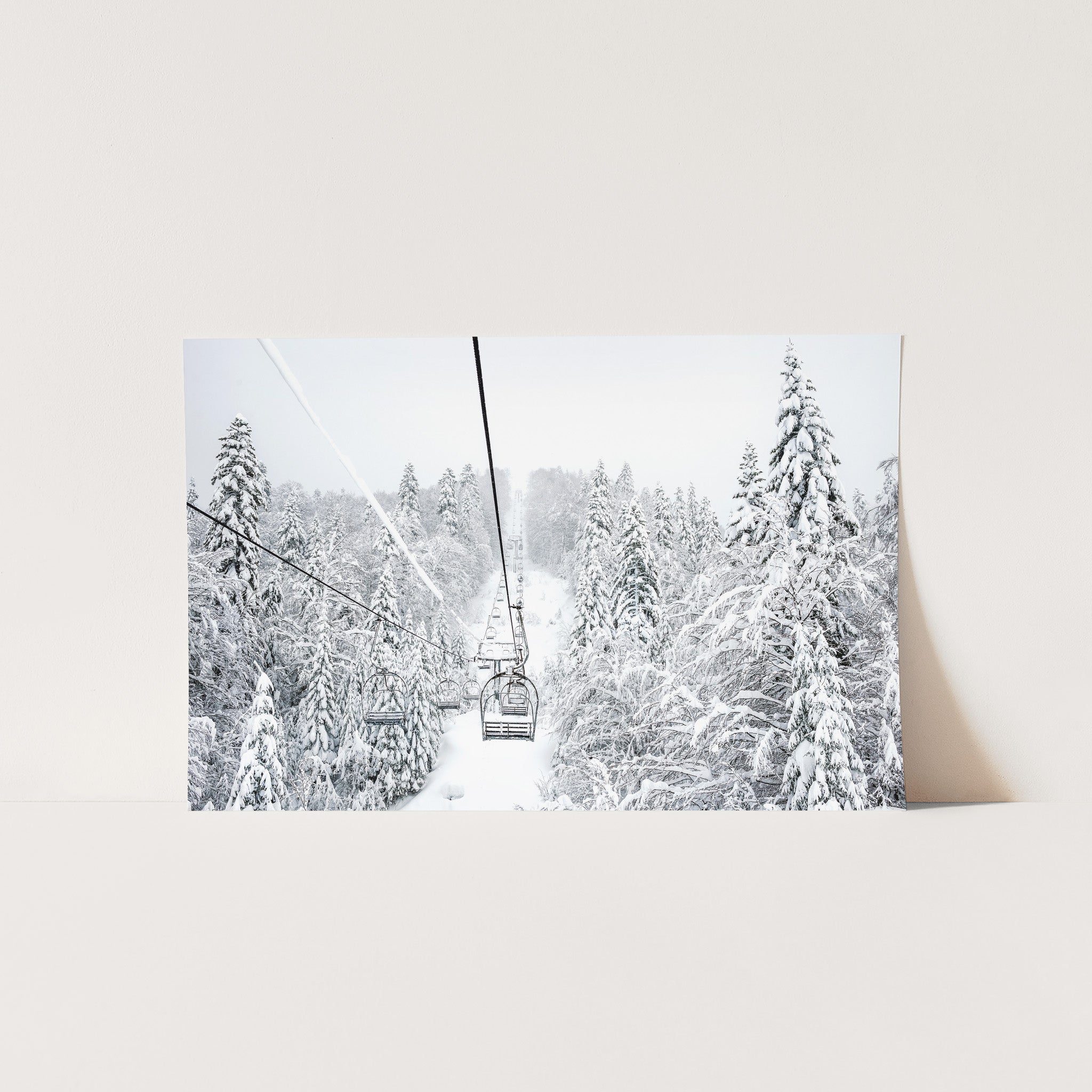 a picture of a ski lift in a snowy forest