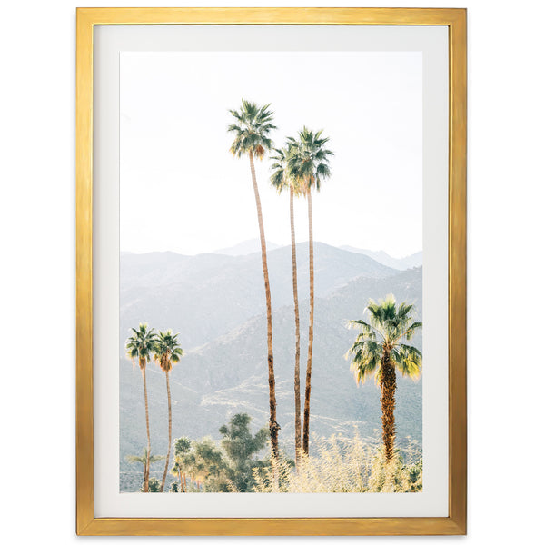 a framed photograph of palm trees with mountains in the background