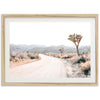 a picture of a dirt road in the desert