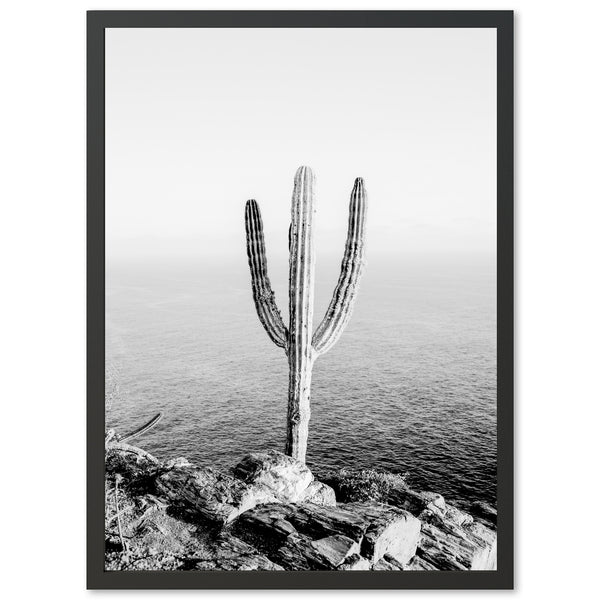 a black and white photo of a cactus by the ocean