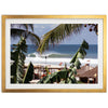 a picture of a beach with a palm tree in the foreground