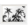 a black and white photo of palm trees