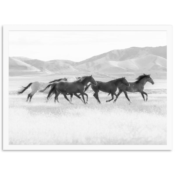 a group of horses running across a field