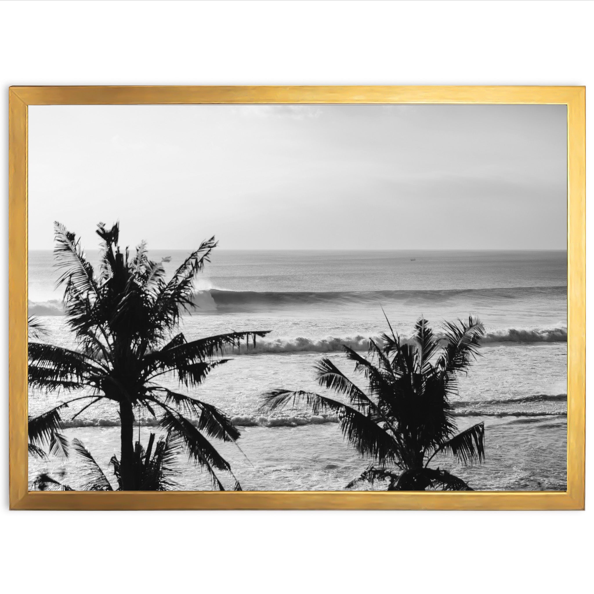 a black and white photo of a beach with palm trees