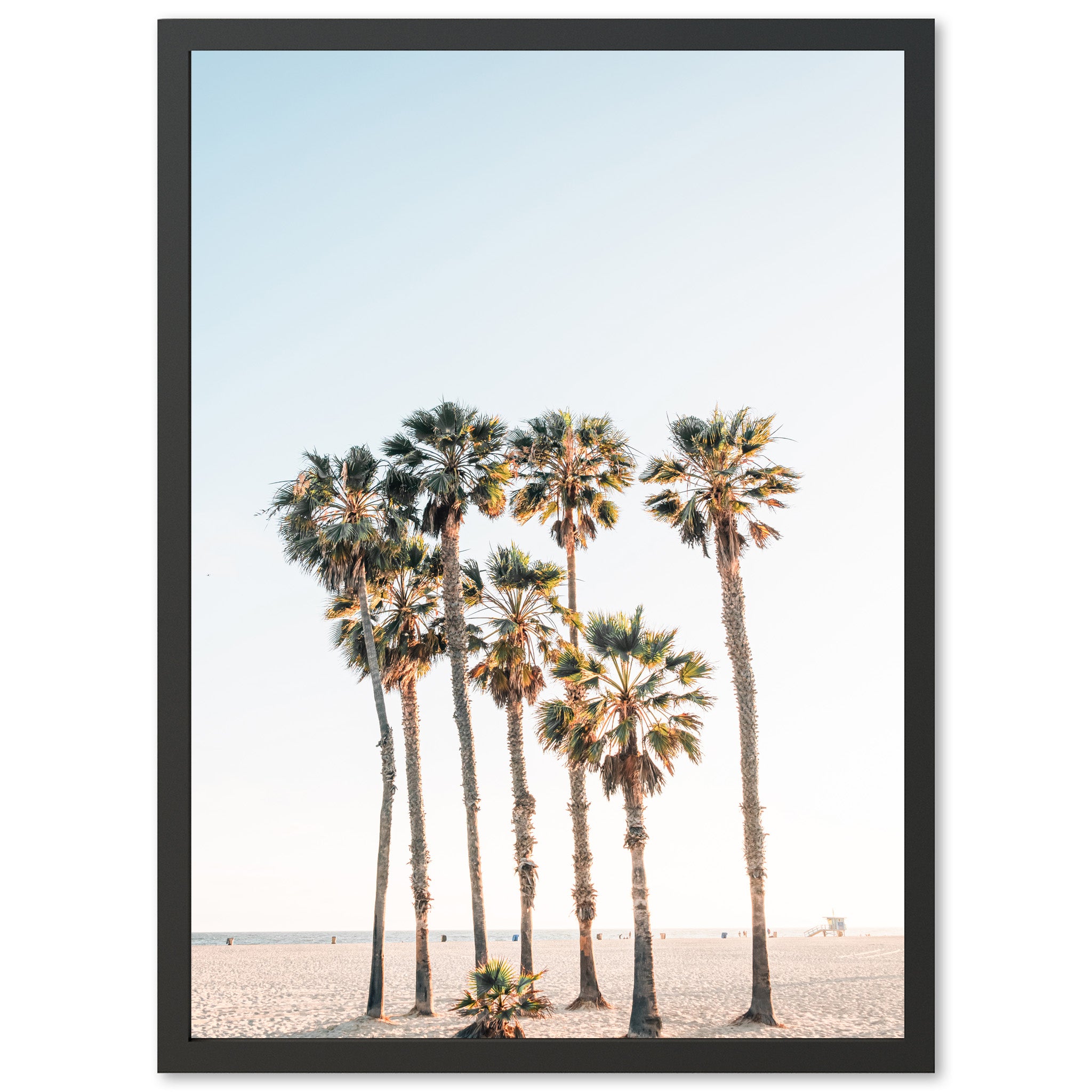 a group of palm trees on a beach