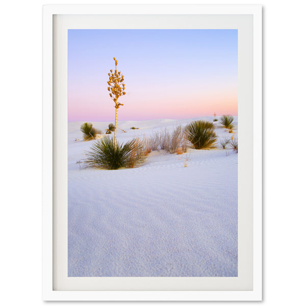 a picture of a tree in the middle of a desert