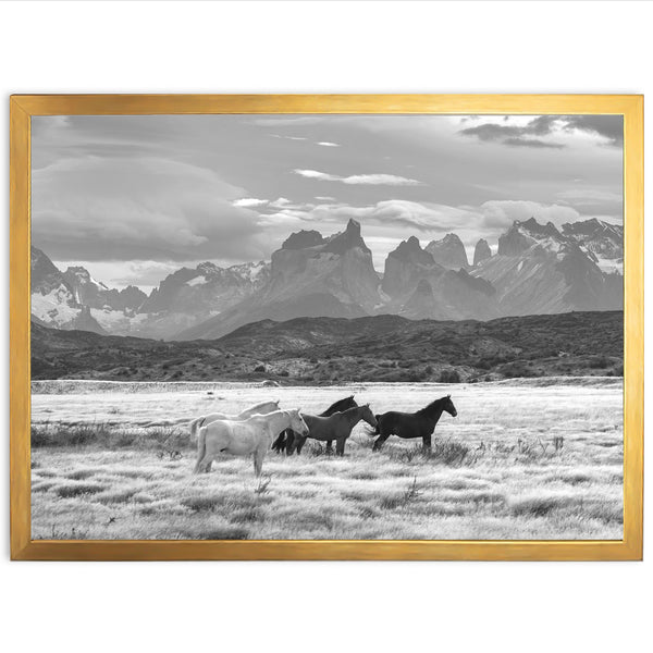 a black and white photo of horses in a field