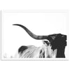 a black and white photo of a cow with long horns