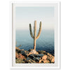 a picture of a cactus on a rocky cliff by the ocean