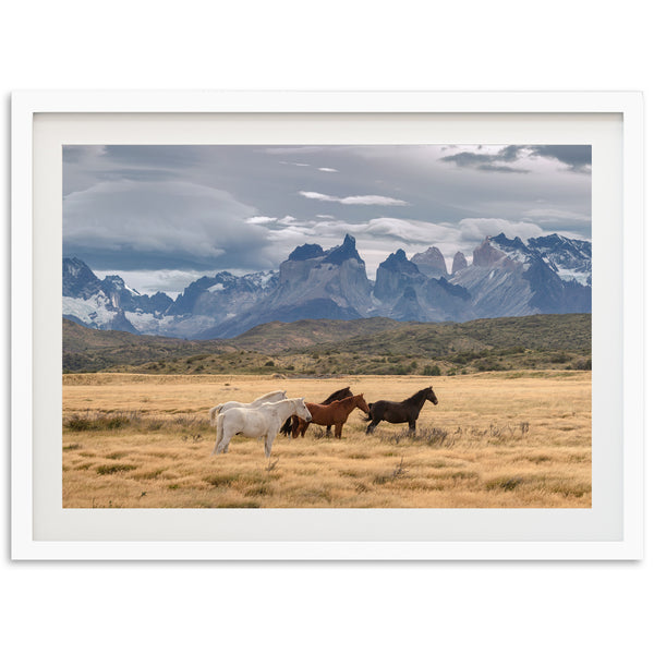 three horses standing in a field with mountains in the background