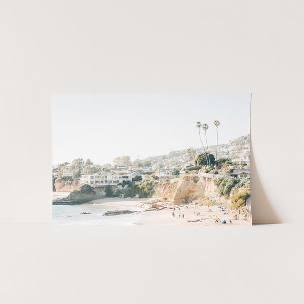 a picture of a beach with palm trees in the background