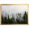 a picture of a foggy forest with trees