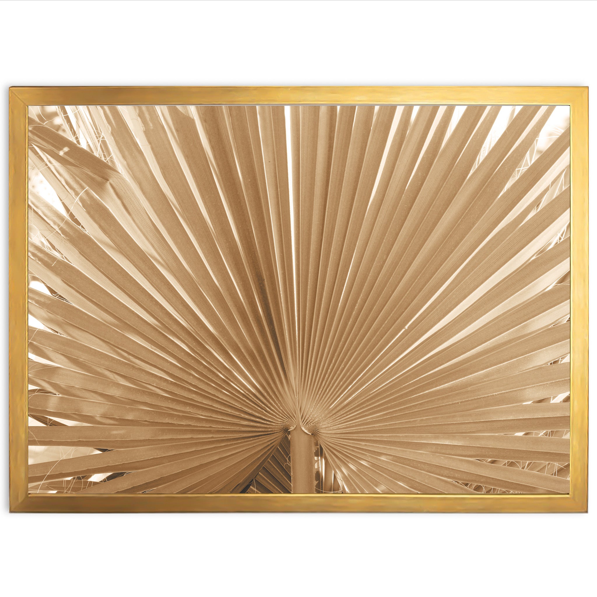 a picture of a palm leaf in a gold frame