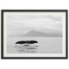 a black and white photo of a whale tail