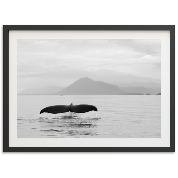 a black and white photo of a whale tail