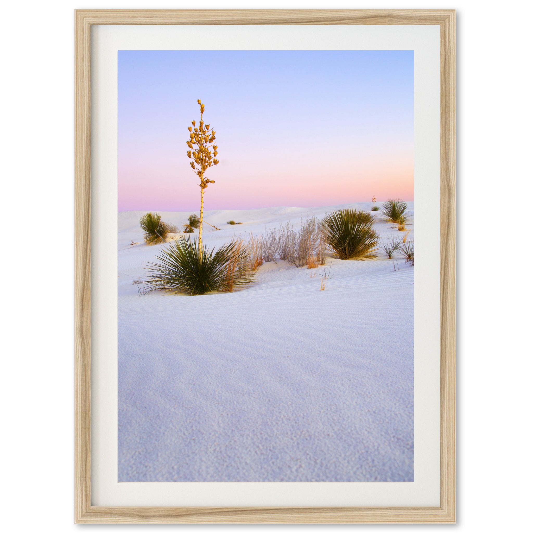 a framed photograph of a desert landscape