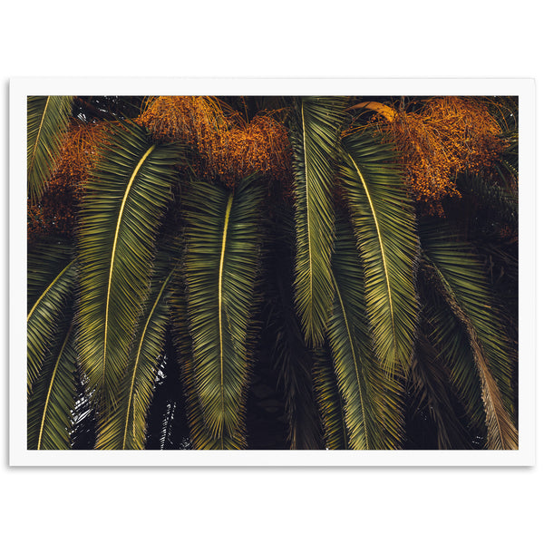 a palm tree with lots of green leaves