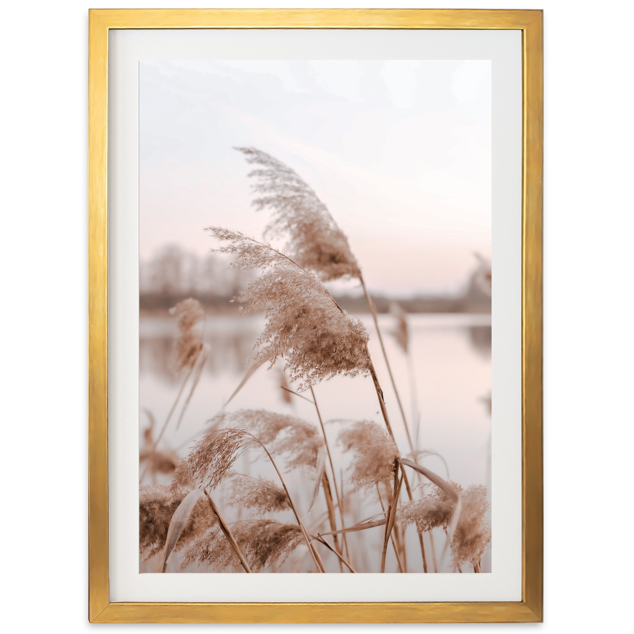 a picture of some plants in front of a body of water