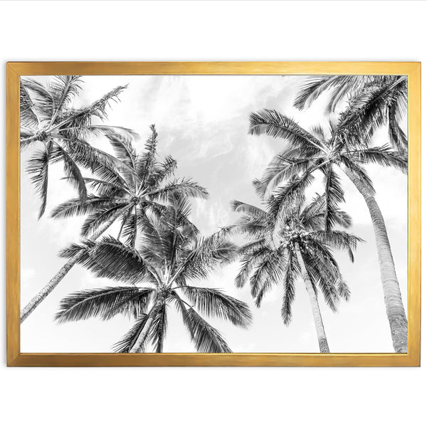 a black and white photo of palm trees