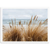 a picture of a beach with some grass in the foreground