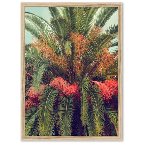 a picture of a palm tree with red flowers