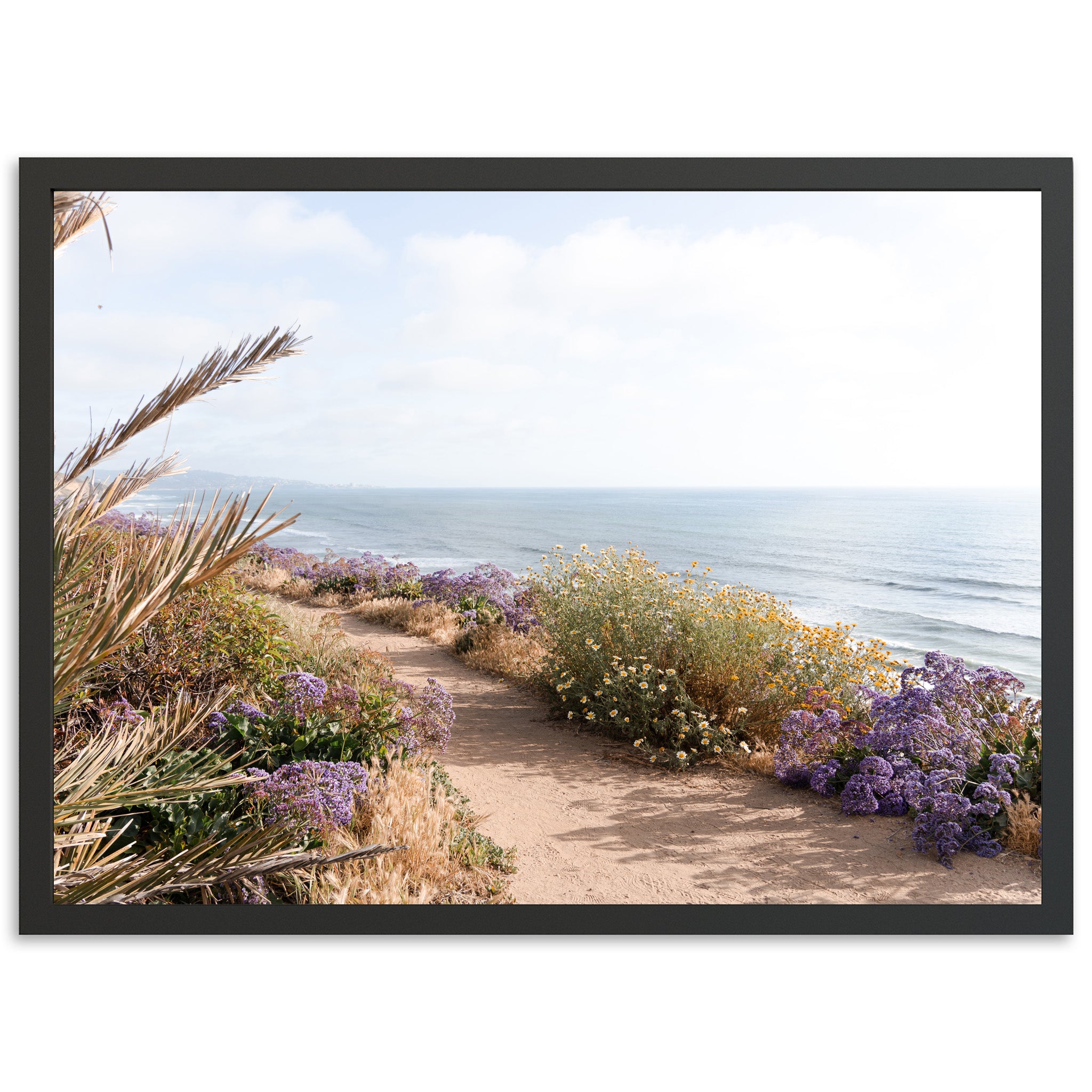 a picture of a path leading to the ocean