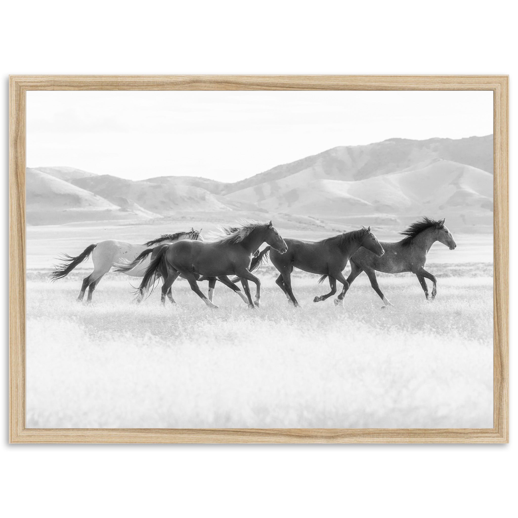 a black and white photo of horses running in a field