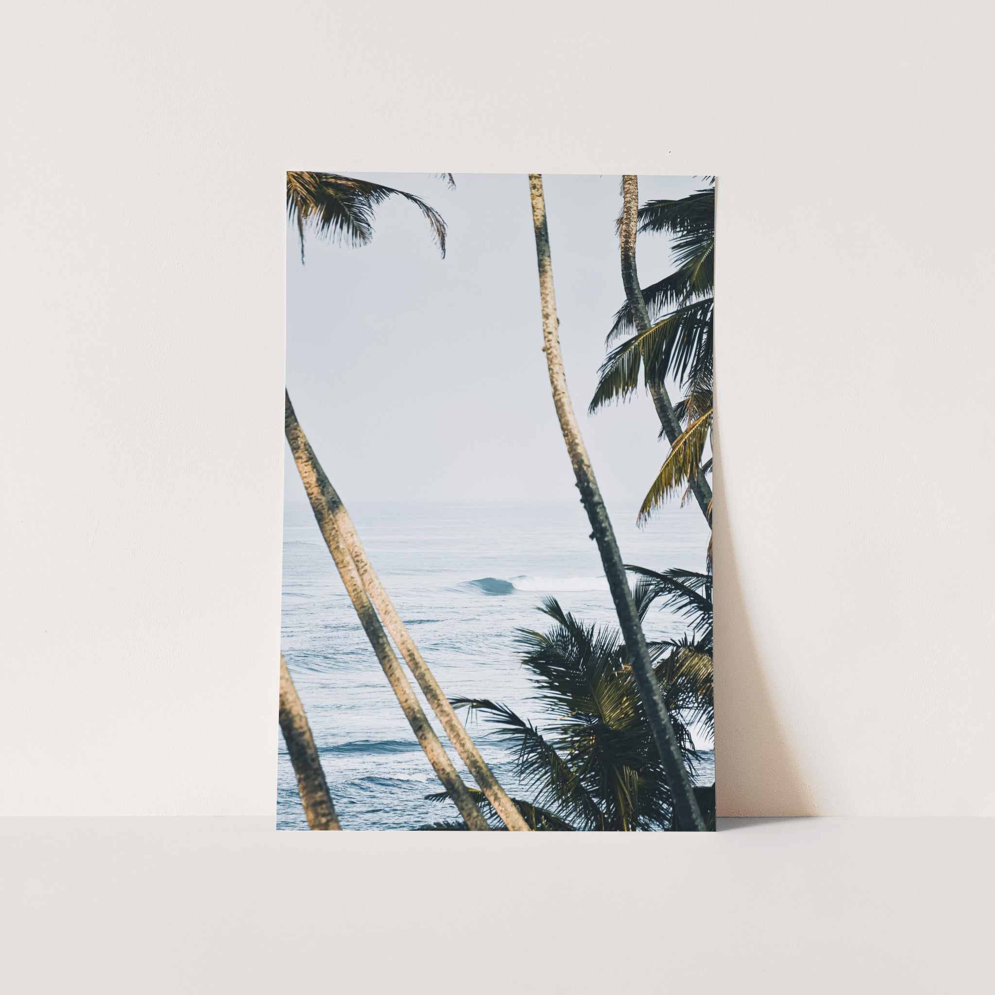 a picture of a beach with palm trees