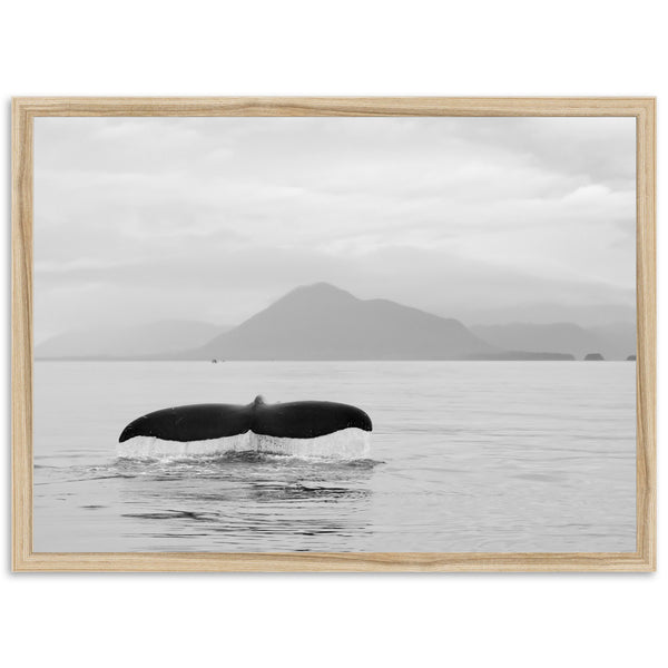 a black and white photo of a whale tail