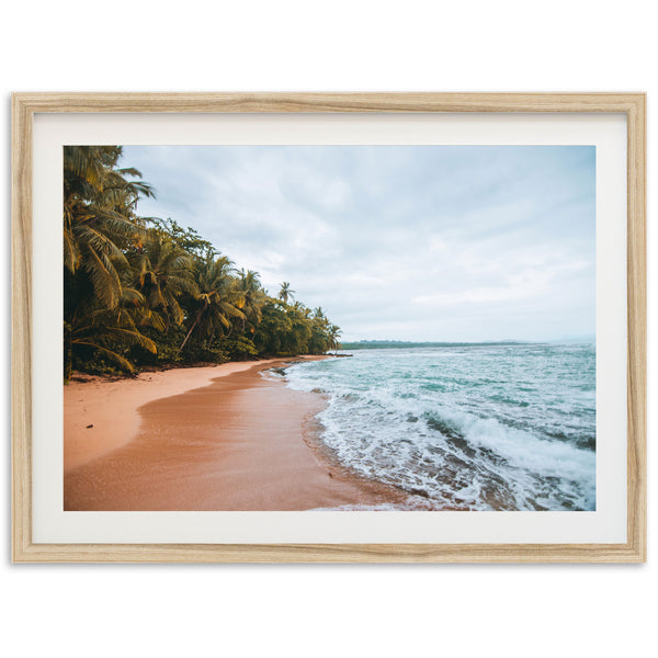 a picture of a beach with palm trees