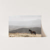 a horse standing in a field with mountains in the background