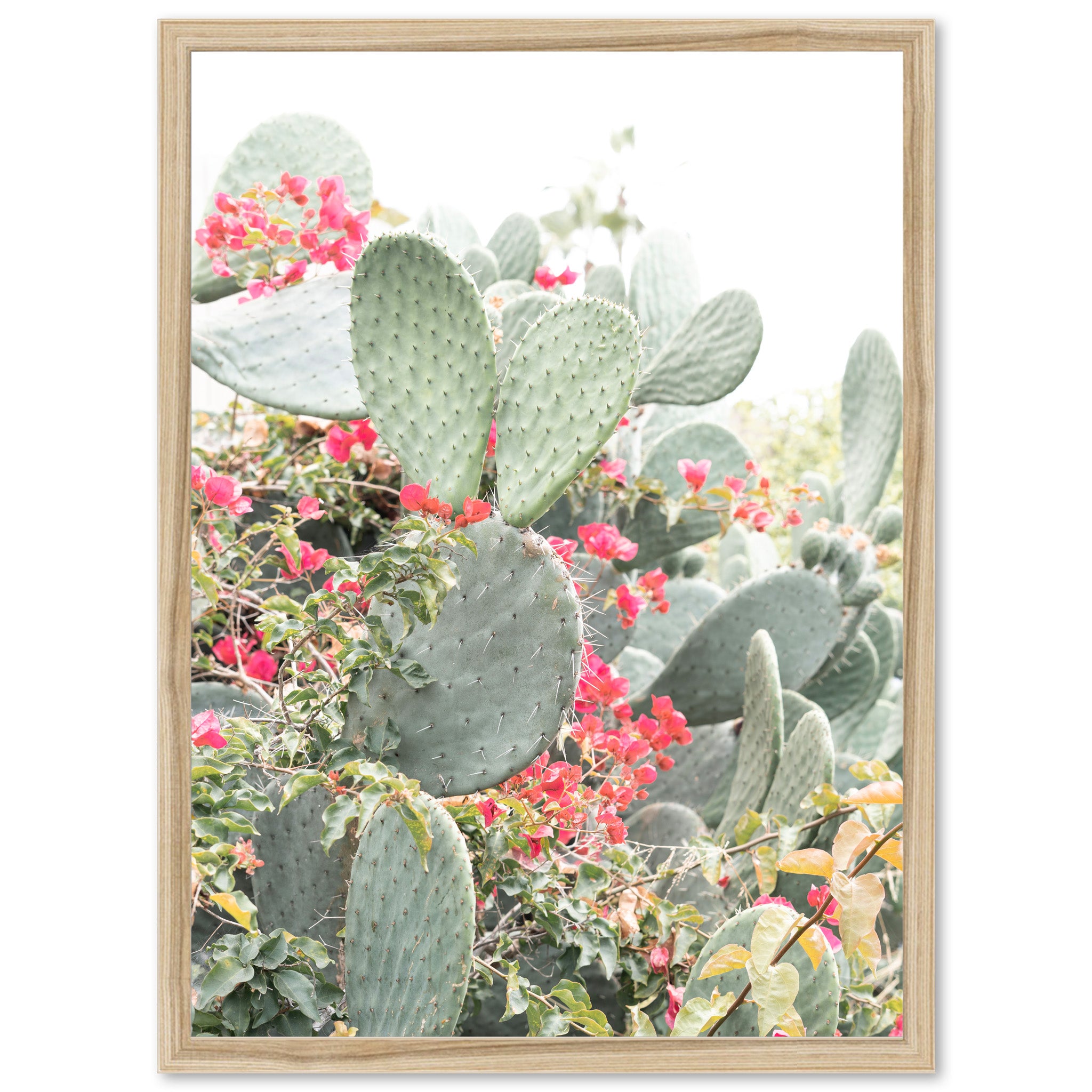 a picture of a cactus with red flowers in the background