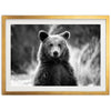 a black and white photo of a brown bear