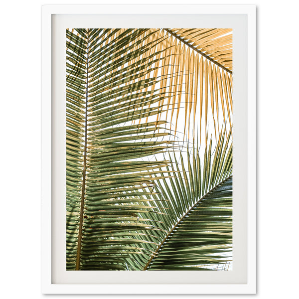 a picture of a palm tree leaves in a white frame