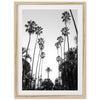 a black and white photo of palm trees