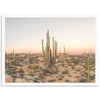 a desert scene with cactus trees and rocks