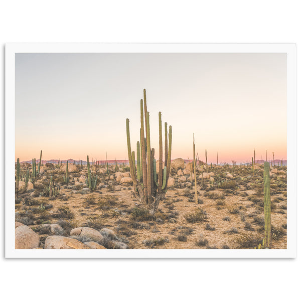 a desert scene with cactus trees and rocks