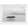 a black and white photo of a whale tail